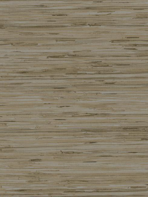 Lustrous Faux Grasscloth Wallpaper In Golden Tan By York Wallcoverings