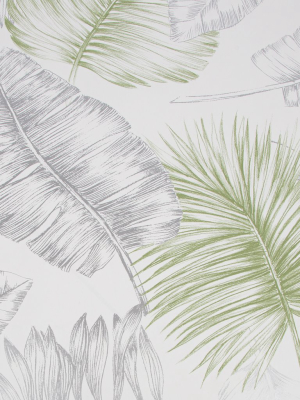 Daintree Wallpaper In Green And Silver From The Capsule Collection By Graham & Brown