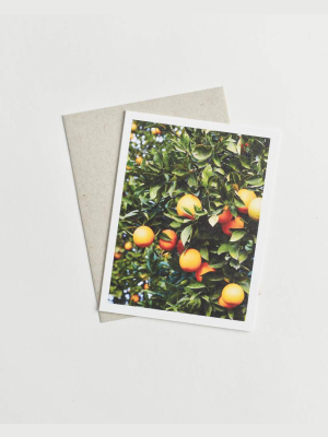 Citrus Grove Card