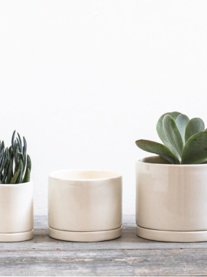 White Handmade Ceramic Planter