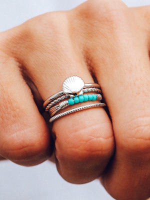 Shell Ring Stack