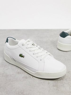 Lacoste Challenge Sneakers In White Green Leather