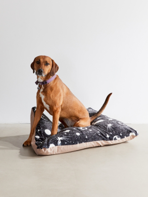 Heather Dutton For Deny Solar System Pet Bed