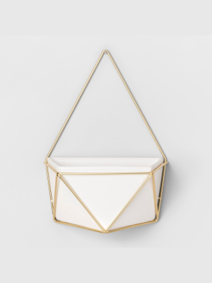 Succulent Wall Geometric Hanging White/gold - Project 62™