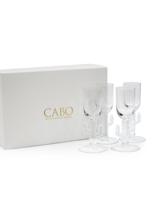 S/4 Cabo Cactus Shot Glass In Gift Box