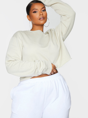 Plus Sand Ultimate Cropped Sweater