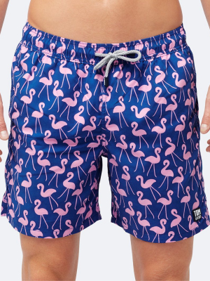 Rose Flamingos