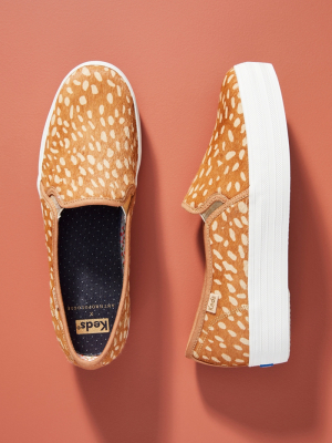 Keds Leopard Platform Slip-on Sneakers