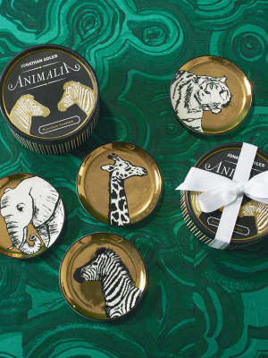 Animalia Coasters