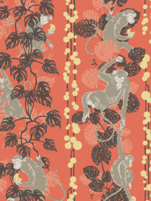 5 Monkeys Wallpaper In Terracotta From The Kingdom Home Collection By Milton & King