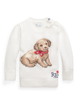 Puppy Dog Cotton Sweater