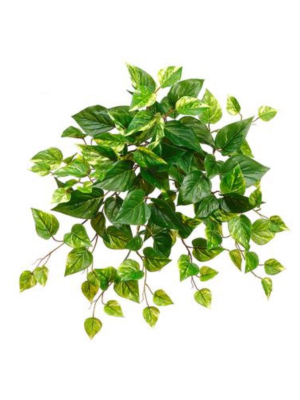 Indoor/outdoor Uv Protected Fake Pothos Plant - 20"