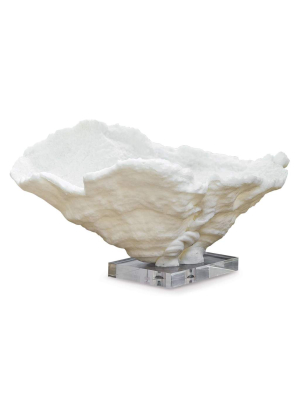 Coral Reef Bowl Large