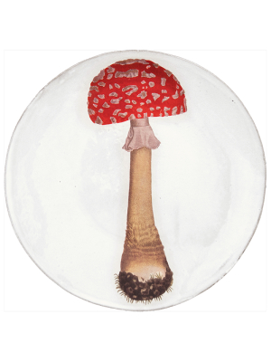 Agaric Fausse Oronge Dinner Plate