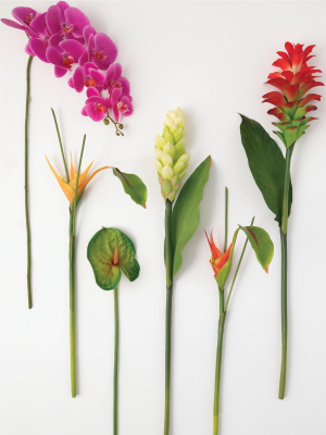 Sullivans Artificial Set Of 6 Tropical Stems 40"h, 34"h, 34"h, 30.5"h, 28.5"h & 27"h Multicolor Flowers