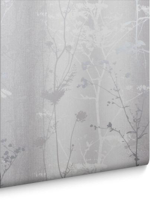 Wild Flower Wallpaper In Shadow From The Exclusives Collection By Graham & Brown