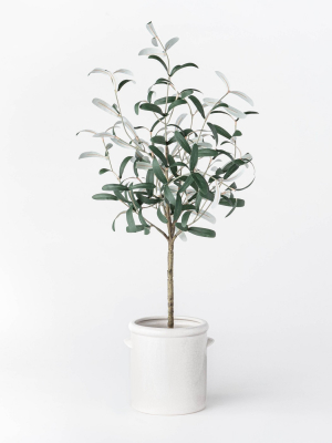 28.5" Artificial Olive Tree In Pot White - Threshold™ Designed With Studio Mcgee
