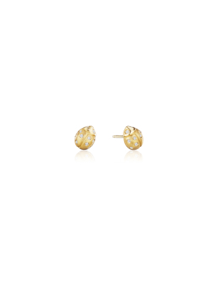 Wonderland Ladybug Stud Earrings - Small