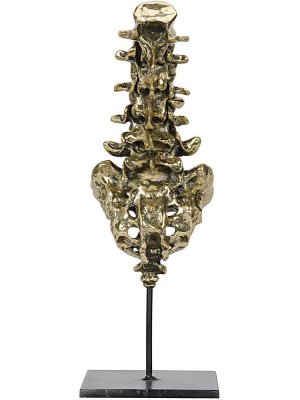 Noir Vertebrae Brass Sculpture