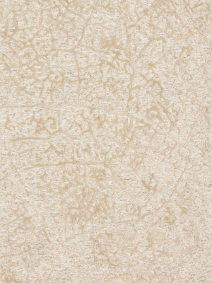 Loloi Rug Juneau Jy-03 Ant. Ivory/beige