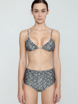 Basic Triangle Bikini Top - Serpent Snakeskin Print