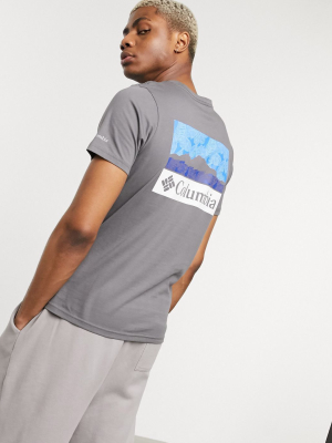 Columbia Rapid Ridge Back Print Graphic T-shirt In Gray