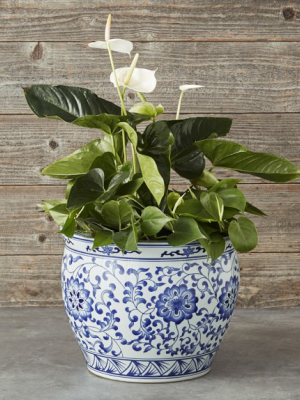 Blue & White Ceramic Planter, Extra Large