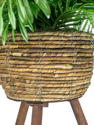 30" X 18" Artificial Phoenix Palm Plant In Basket Stand - Lcg Florals