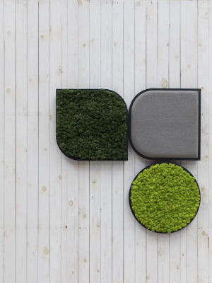 Buzzimood Moss Wall Panel