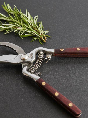 Thai Kitchen & Garden Shears