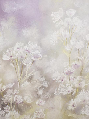 Flora