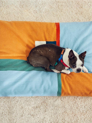 Landscape Dog Bed