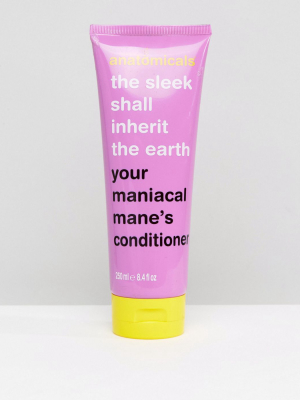 Anatomicals The Sleek Shall Inherit The Earth Conditioner 250ml