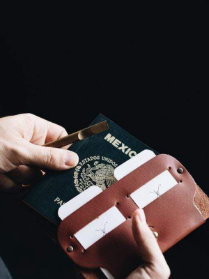 Passport Wallet Ii