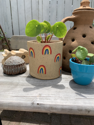 Jarmél By Jarmel Handmade Rainbow Planter