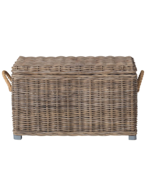 Salim Storage Trunk Gray - Safavieh