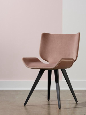 Nuevo Astra Dining Chair - Blush