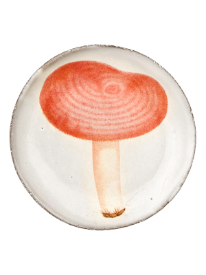 Agaric Meurtier Saucer