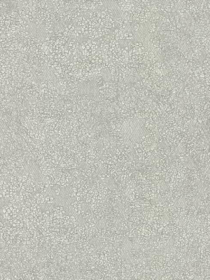 Weathered Wallpaper In Light Grey By Antonina Vella For York Wallcoverings