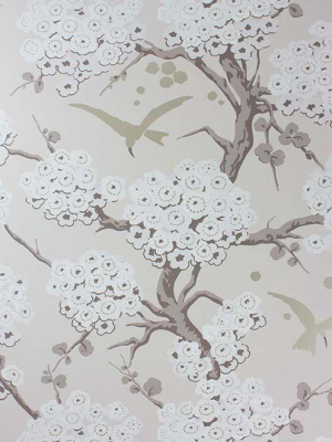 Japonerie Wallpaper In Gray From The Verdanta Collection By Osborne & Little