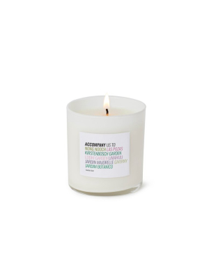 Candid Candle - Garden Mint