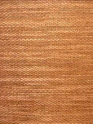 Sisal Wallpaper In Caramel Brown From The Winds Of The Asian Pacific Collection By Burke Decor