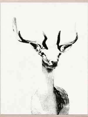 Tylinek Deer Framed Artwork