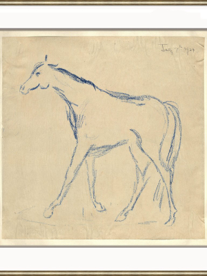 Horse Sketch