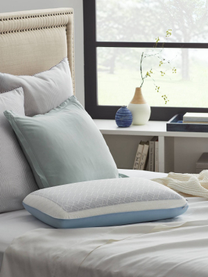 Standard Duo Chill Memory Foam Bed Pillow - Sealy