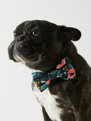 Rifle Paper Co. X The Foggy Dog Rosa Bow Tie