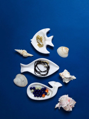 Modern Fish Dish Design By Siren Song