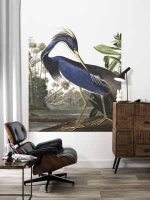 Louisiana Heron 011 Wallpaper Panel By Kek Amsterdam