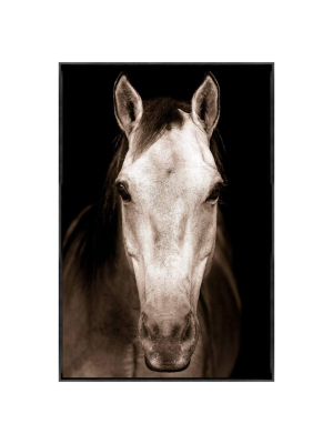 Tan Horse Framed