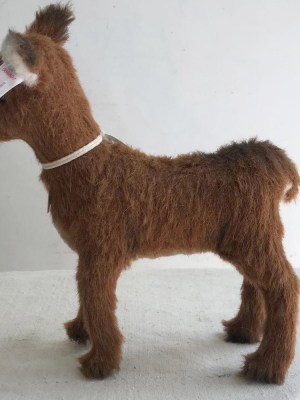 Hinda Alpaca